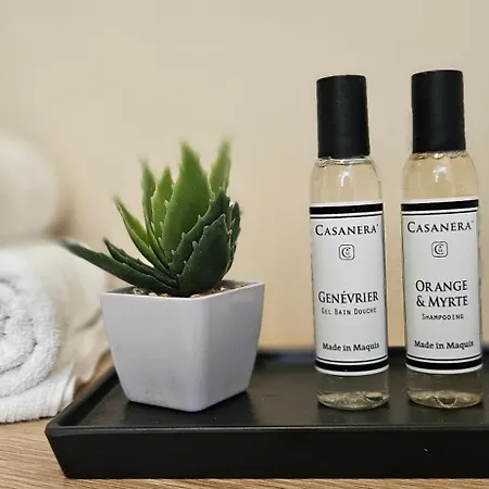 T3 De Standing Les Pieds Dans L'eau Cote Village * Проприано