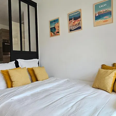 T3 De Standing Les Pieds Dans L'eau Cote Village Propriano (Corsica)