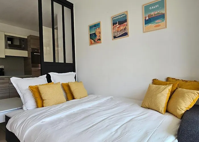 T3 De Standing Les Pieds Dans L'eau Coté Village Propriano (Corsica)