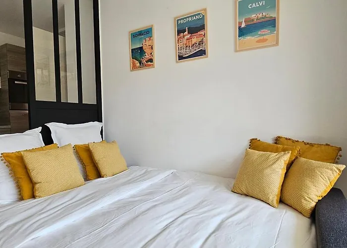 Appartement T3 De Standing Les Pieds Dans L'eau Cote Village Propriano (Corsica)