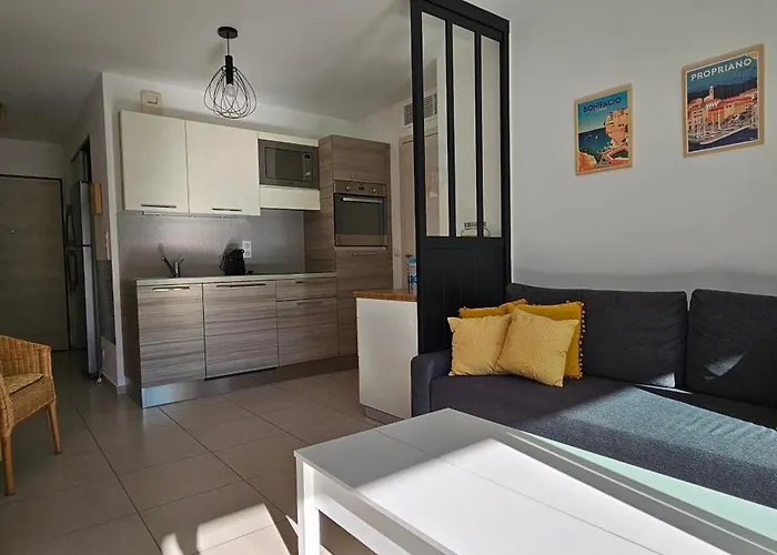 Appartement T3 De Standing Les Pieds Dans L'eau Cote Village Propriano (Corsica)