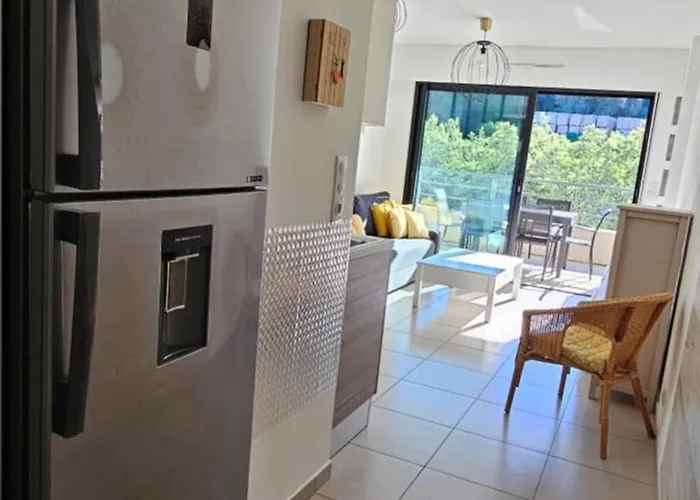 T3 De Standing Les Pieds Dans L'eau Cote Village Appartement *