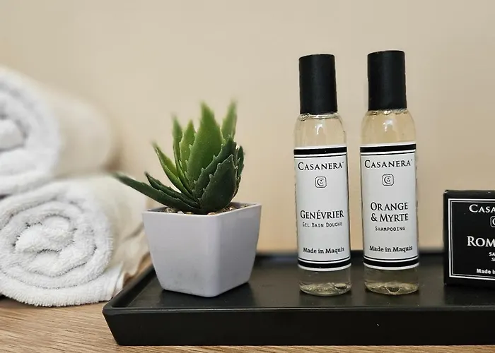 T3 De Standing Les Pieds Dans L'eau Coté Village * Propriano (Corsica)